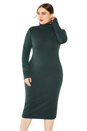 Autumn Winter Women Solid Color Base Long Sleeve Stretch Slim Turtleneck Sweaters Dress