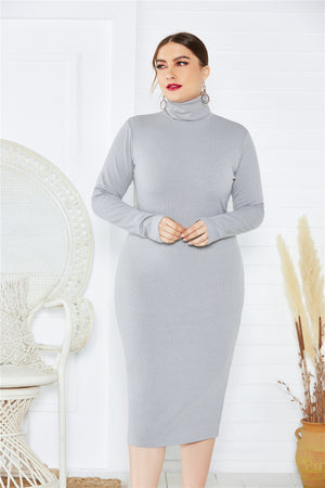 Autumn Winter Women Solid Color Base Long Sleeve Stretch Slim Turtleneck Sweaters Dress