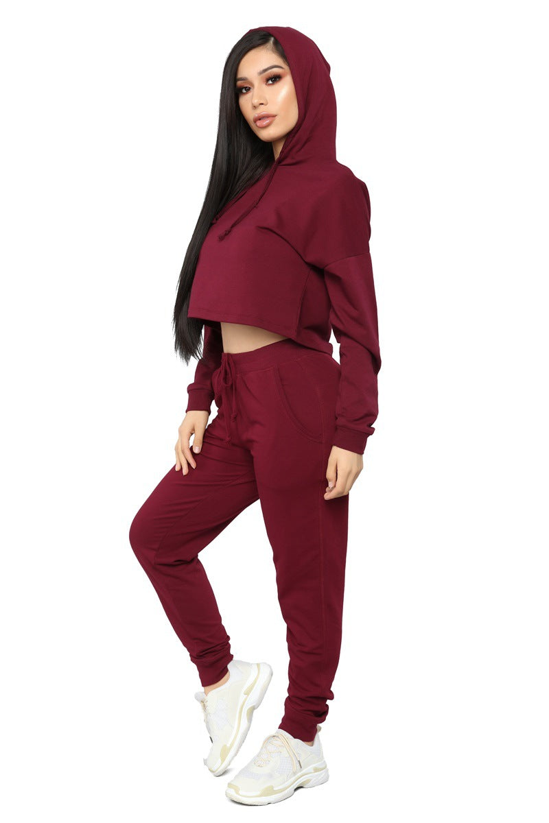 Autumn Winter Solid Color cropped Two Piece Set